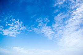 梅雨の晴れ間にお散歩♪