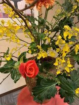 フロントのお花～開花しました！～