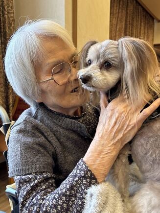 ドッグセラピー2025～秋～