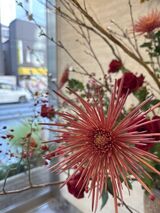 フロントのお花