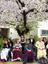 桜散策＆桜喫茶～2026～