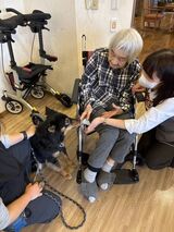 ドッグセラピー