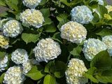 ☆6月グッドタイムクラブのご案内☆