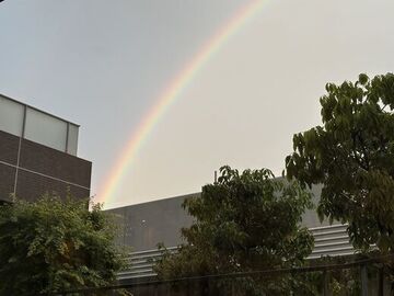 IMG_0081.jpeg