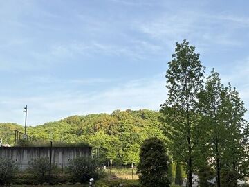 IMG_0087.jpeg