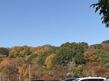 IMG_8670.jpeg