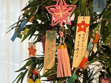 IMG_0752.jpeg