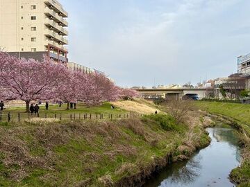 IMG_9793.jpeg