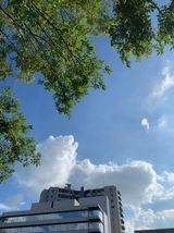 愛す（アイス）！