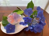 紫陽花ゼリー♪