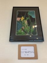 -MISORA-展覧会♪♪