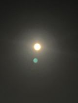 名月と言えば...