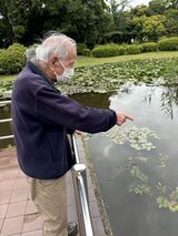 世界亀の日