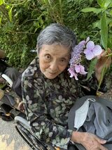 紫陽花を愛でに♪