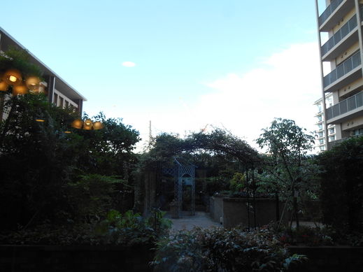 DSCN7370.jpg