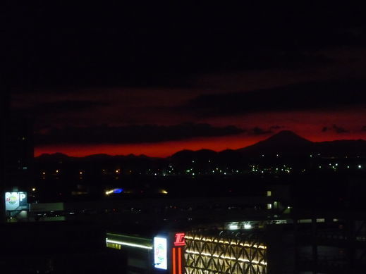 P1050235.jpg