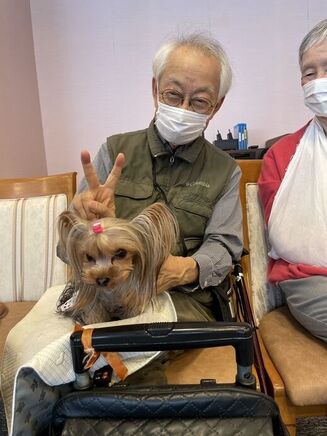 秋のドッグセラピー