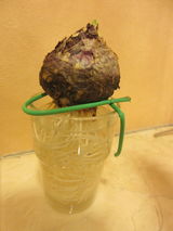 フロントのかわいい子