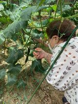 フラワーガーデンプロジェクト第5弾