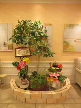 ハワイアンデー～設え編～