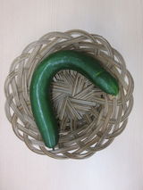 フラワーガーデンプロジェクト第6弾～こんなに大きく実りました！～