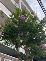 グッドタイム リビング 調布の植物園　その45