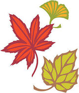 10月のおすすめプログラム