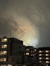 夜空に咲く大輪の花