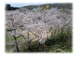 花見茶屋