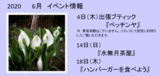 グッドタイムクラブより～6月イベント情報～