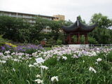 水月公園散策
