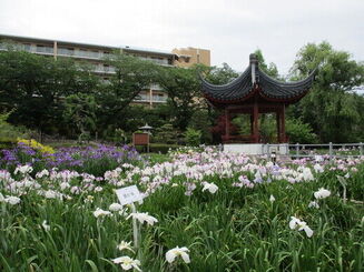 水月公園散策