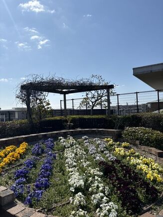 ゲストハウス屋上からの景色