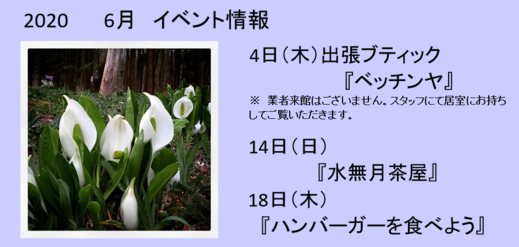 キャプチャ.png