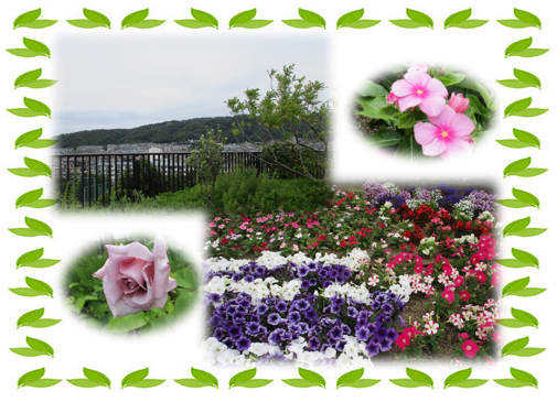 20210517 小散歩-1.png