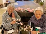 桜の季節が過ぎ･･･