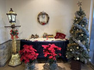 クリスマスモード✨