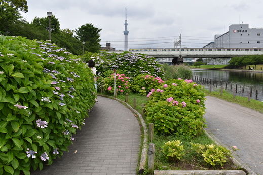 DSC_0172.jpg