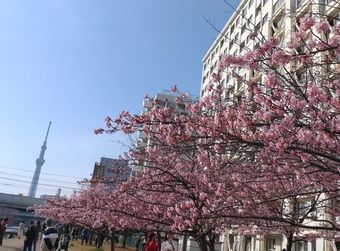 DSC_0348.jpg