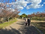 お散歩日和