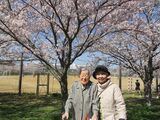 お散歩日和～春のお花見～①