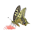 キャプチャ9.png