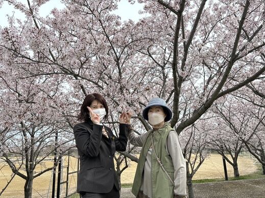 ohanami           0407.jpg