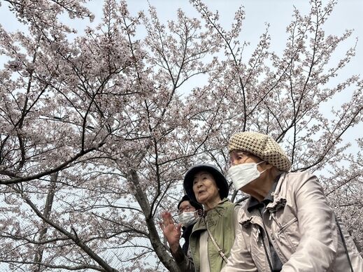 ohanami              0407.jpg