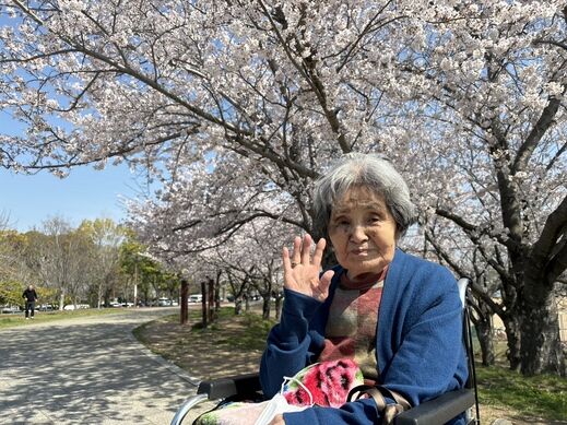 ohanami       0407.jpg