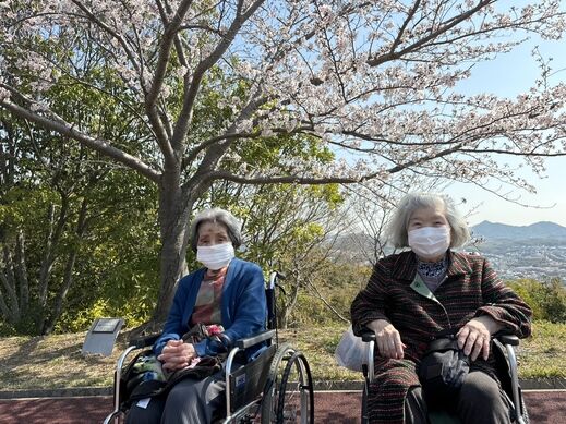 ohanami      0407.jpg