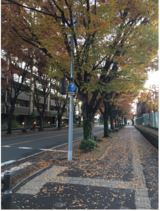 秋が深まってきました その④