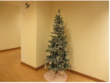 5階クリスマスツリー