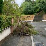 台風7号直撃!!