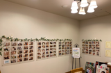 掲示写真を入れ替えました